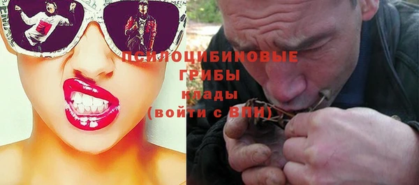 ешки Зеленодольск