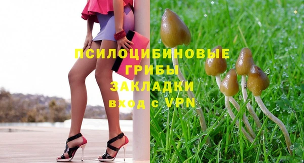 ешки Зерноград