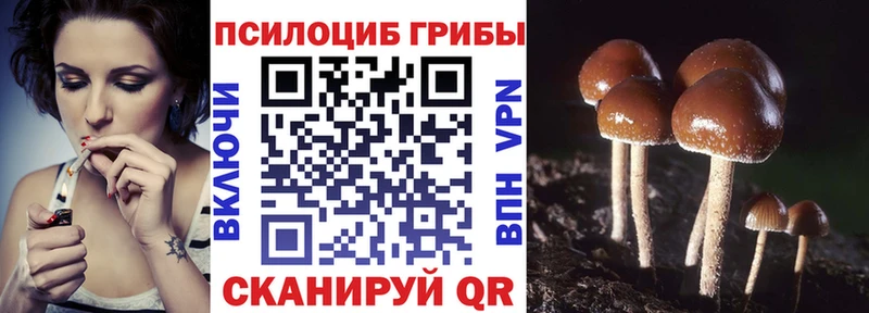 Купить где  Пятигорск  Галлюциногенные грибы Psilocybine cubensis 