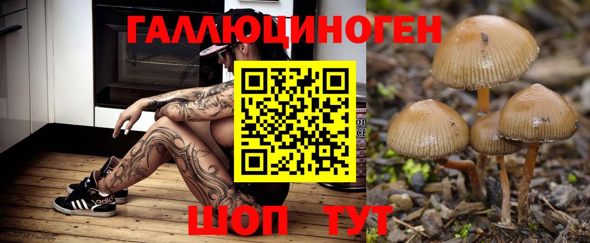 Галлюциногенные грибы MAGIC MUSHROOMS  Пятигорск 