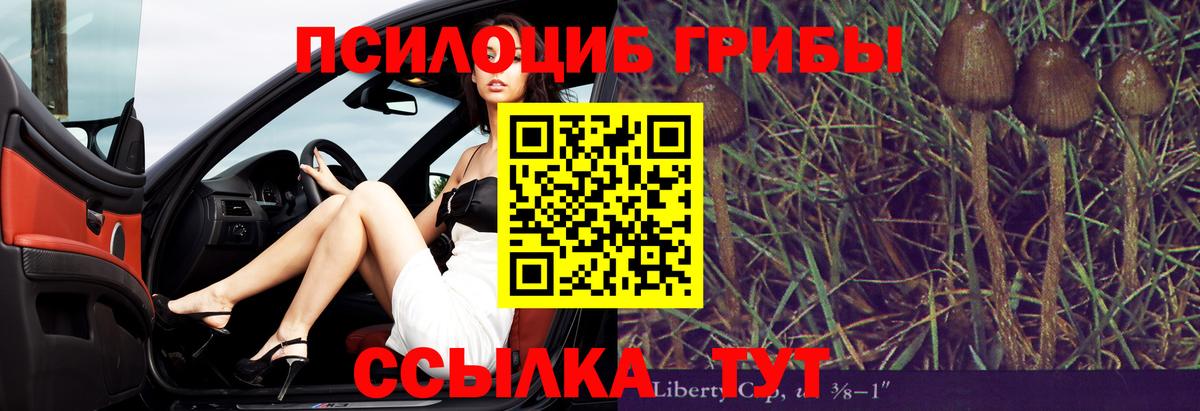 Галлюциногенные грибы Psilocybine cubensis  Вход с VPN  закладки  Пятигорск  Псилоцибиновые грибы ЛСД 