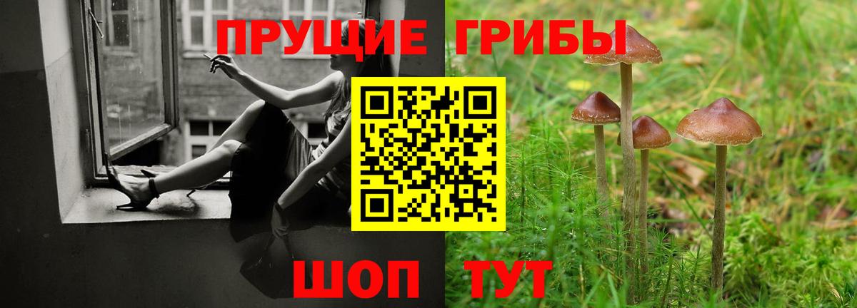 Псилоцибиновые грибы Cubensis Пятигорск