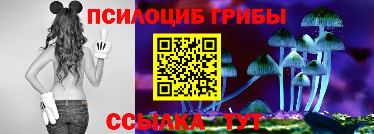 Галлюциногенные грибы GOLDEN TEACHER Пятигорск