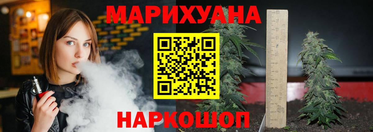 Бошки Шишки семена  Вход с VPN  Каннабис Bruce Banner  Пятигорск 